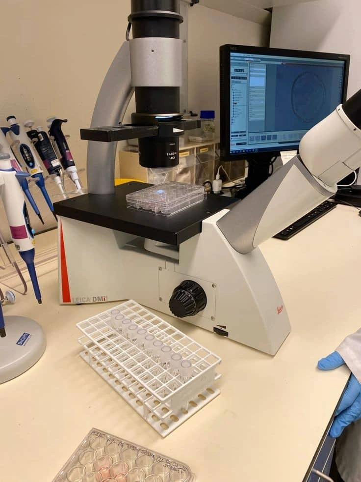 نحوه انتخاب مواد آزمایشگاهی آلفا برای تحقیقات زیست پزشکی