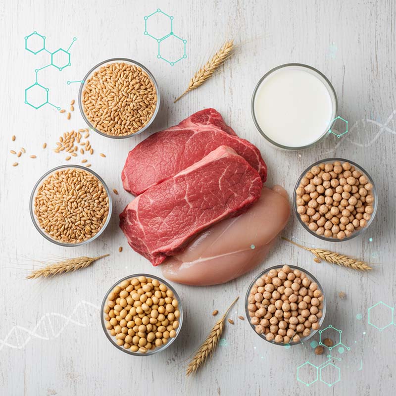 پروتئین و غلات